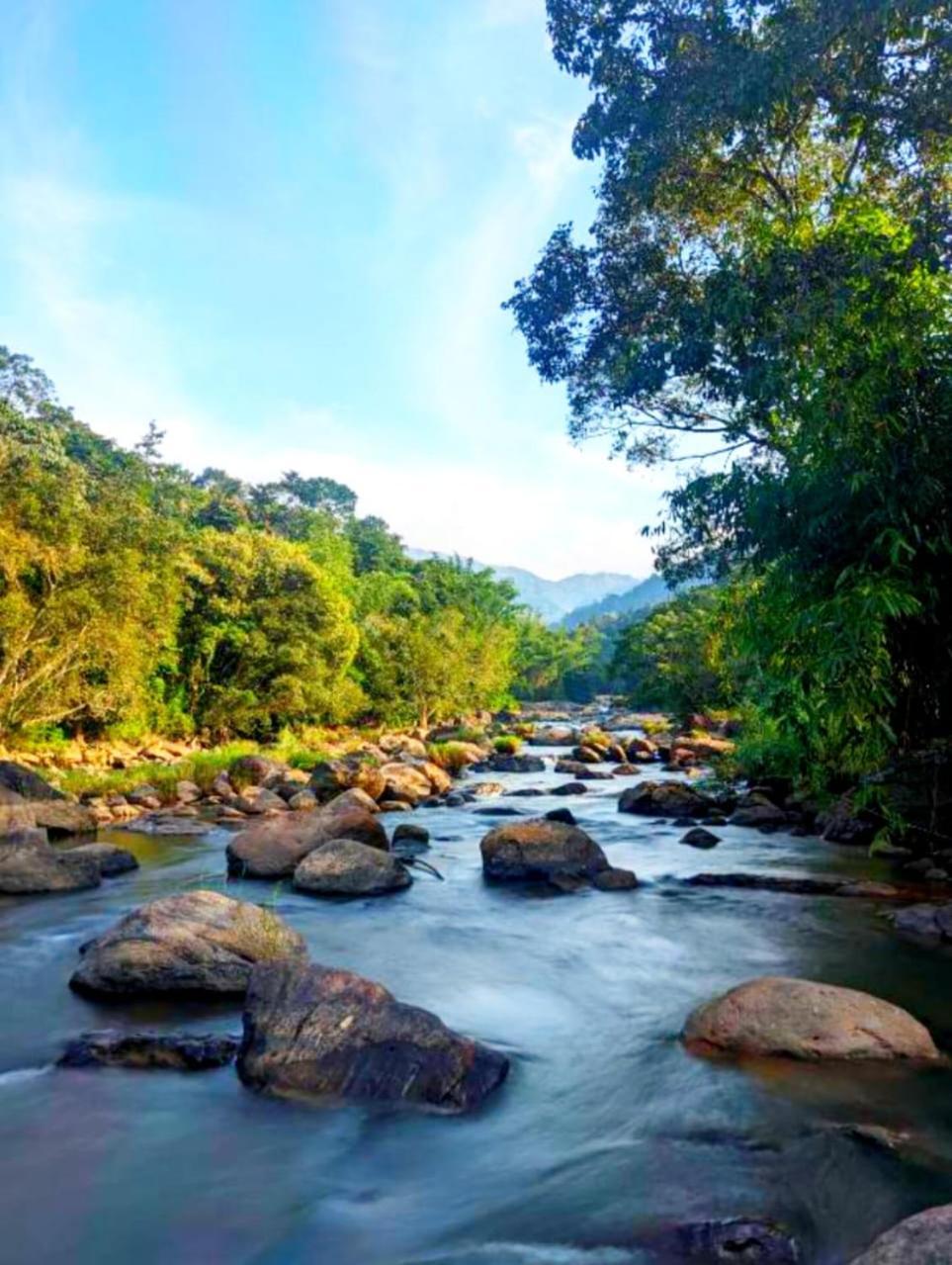 Mistey Valley Munnar Villa Anachal المظهر الخارجي الصورة