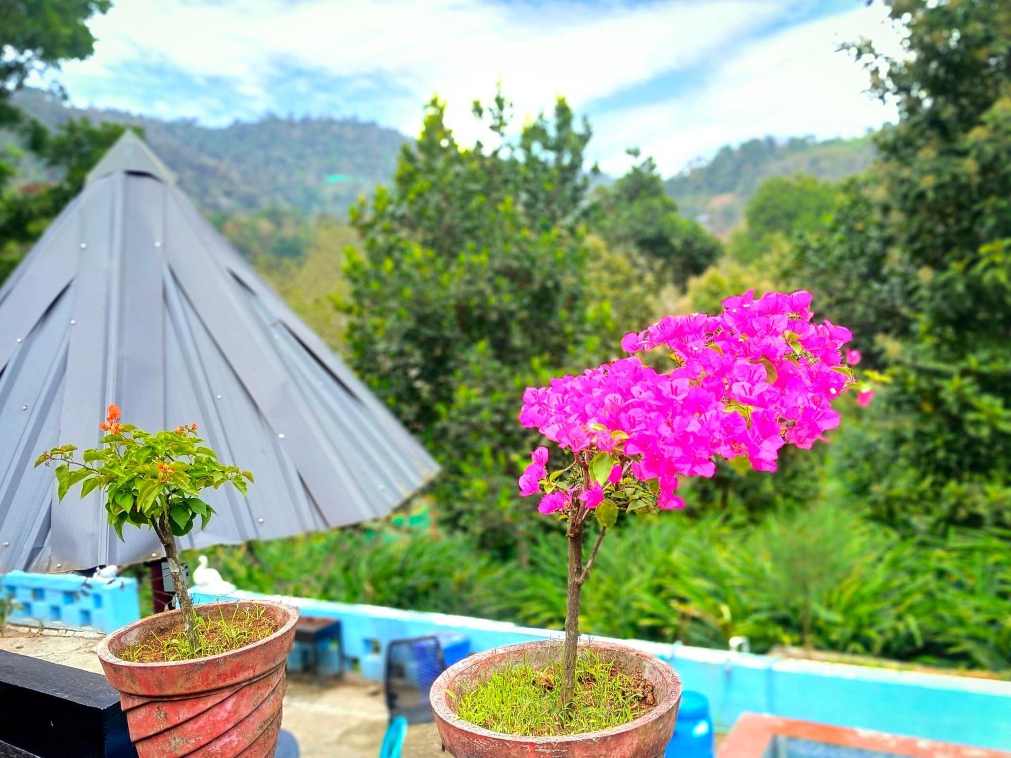 Mistey Valley Munnar Villa Anachal المظهر الخارجي الصورة