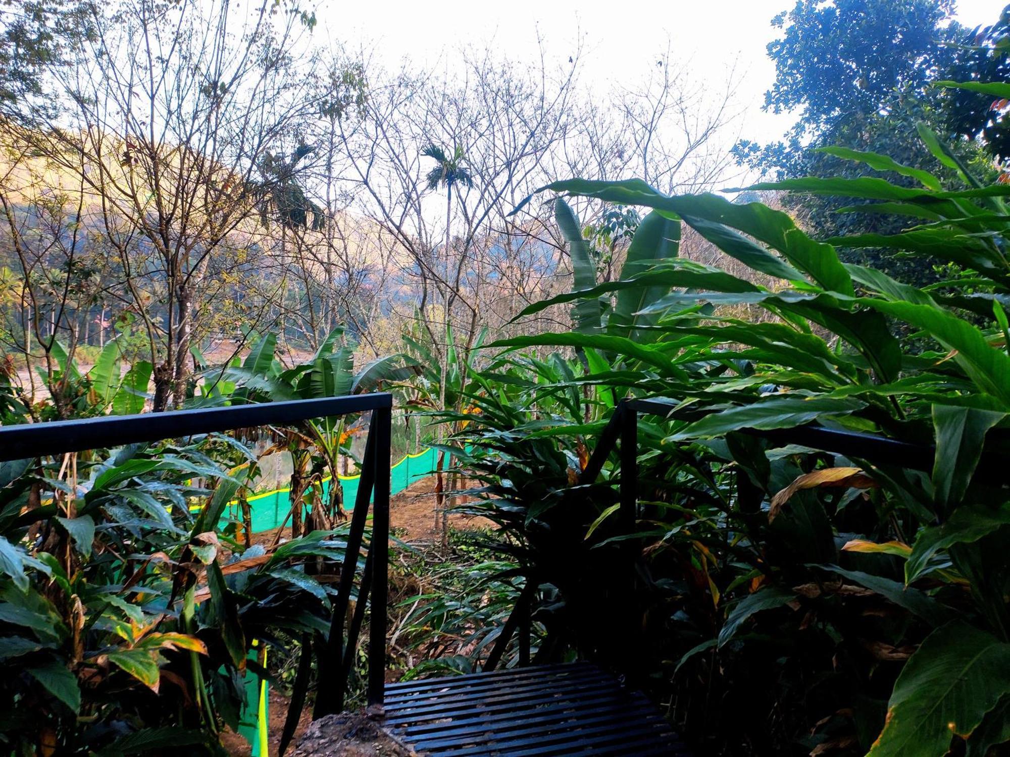 Mistey Valley Munnar Villa Anachal المظهر الخارجي الصورة